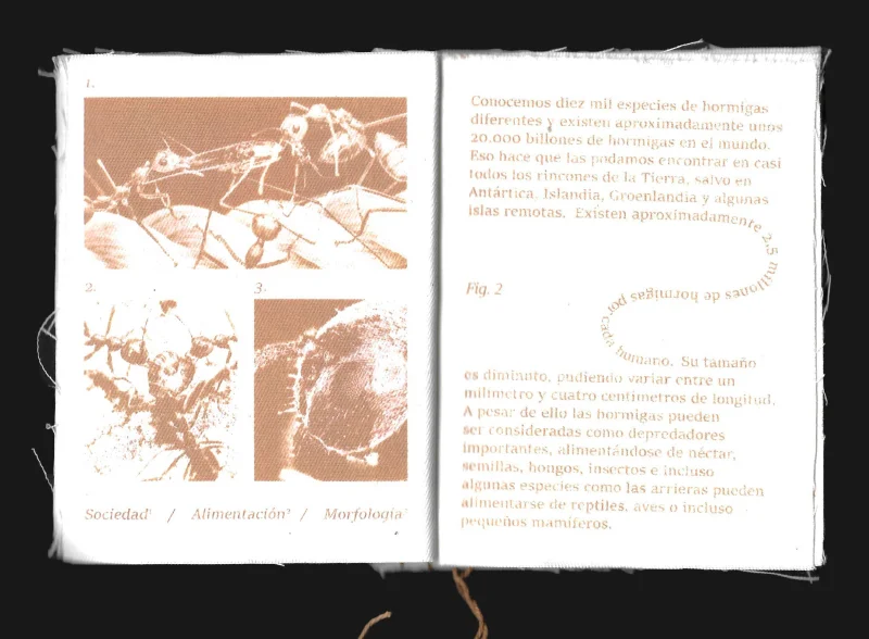 Fanzine 'Hormigueo'